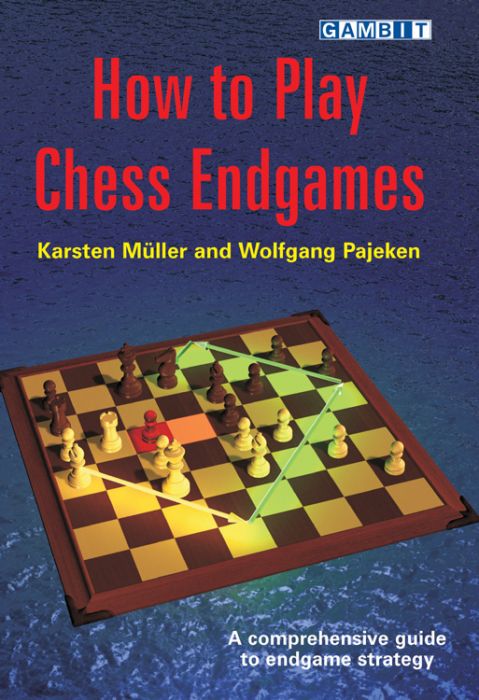 How to Play Chess Endgames Müller  Pajeken Raindroptime