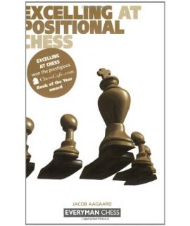 Excelling at Positional Chess by Aagaard, Jacob