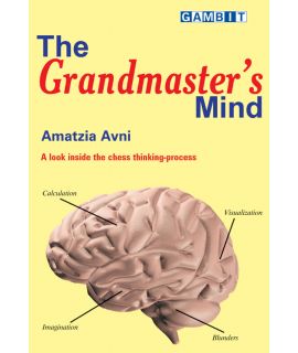 The Grandmaster's Mind - Avni