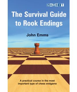 The Survival Guide to Rook Endings - Emms