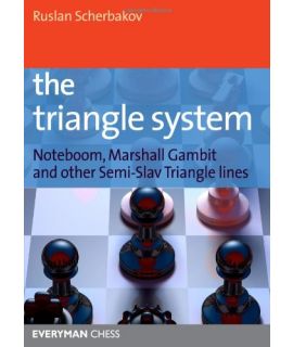 Triangle System, The by Scherbakov, Ruslan